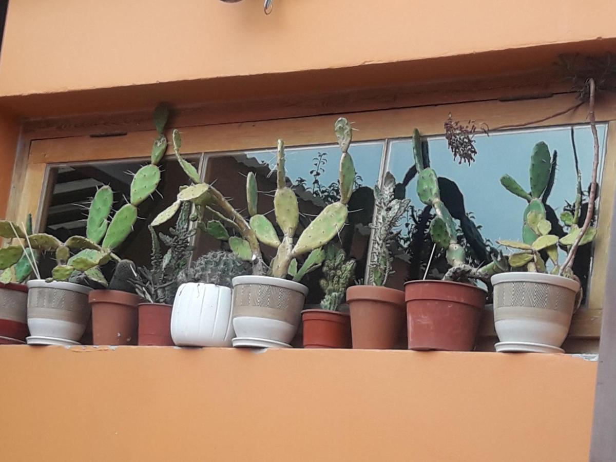 La Biblioteca Apartment Olavarría Екстериор снимка